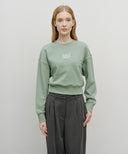 W SMALL CLASSIC LOGO CROP SWEATSHIRT IN CHARCOAL GREY image 12