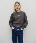 W SMALL CLASSIC LOGO CROP SWEATSHIRT IN MINT GREY image 12