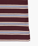 SMALL CLASSIC LOGO PK COLLAR TEE IN STRIPE image 14